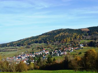 Luxury Holiday Home In M�hrenbach Thuringia With Barbecue