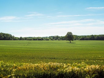 Holiday Home In Saint-laurent-de-la-salle With Pool
