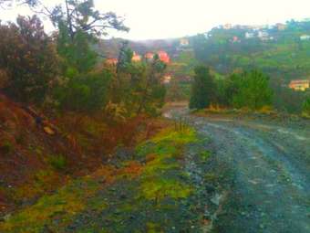 Quiet Bungalow In Sestri Levante Flower Riviera With Garden