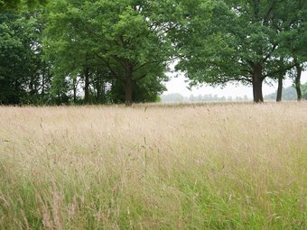 Farmhouse In Eext With Private Terrace & Garden