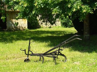 Cozy Holiday Home Near Forest In Lern�