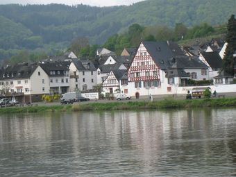 Apartment In Wehlen With Garden, Bbq, Fireplace, Bicycles