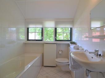 Detached Cottage With A Thatched Roof, Large Garden, Sallandse Heuvelrug