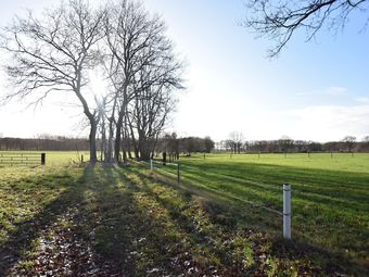 Rurally Located Holiday Home In The Beautiful Natural Surroundings Of The Drenthe Forest