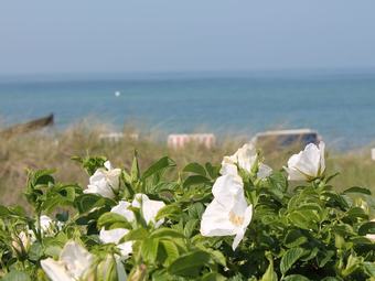 Spacious Apartment In Insel Poel Near Baltic Sea