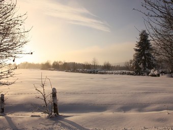 Cabana Traditional Chalet Near Malmedy With Private Garden