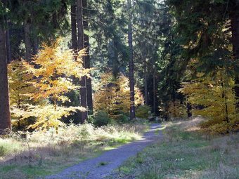 Modern Apartment In Reifferscheid With Garden