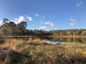 Agroturismo Semi-detached Farmhouse With Beautiful View And Nice Private Terrace/garden