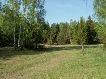 Cosy Bungalow In Gernrode Near The Forest