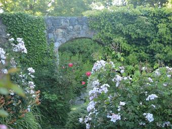 Amazing Holiday Home In Regn�ville-sur-mer With Garden