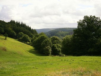 Cozy Holiday Home In Lesterny Near Lake