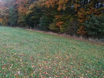 Stunning House With Uninterrupted Views, Ideal For Dog Owners And Hikers