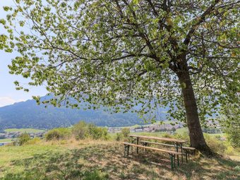 Holiday Home In Kirchbichl With Serene View