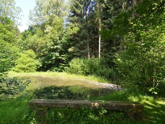 Cosy Holiday Home In Noirefontaine With Garden