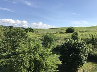 House With 3 Bedrooms In Chavot-courcourt, With Furnished Garden And Wifi