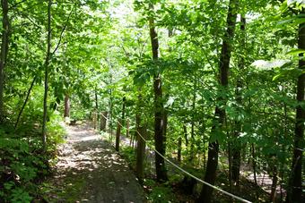 Bed & Breakfast Exp�rienza