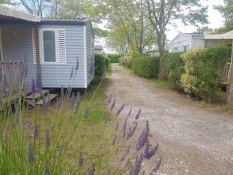 Camping Du Petit Pont
