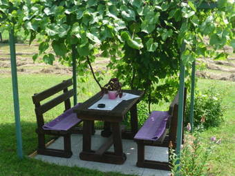 Hostal Apartments Tratincica