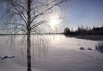 Residencia The Wagon House. Open For Bookings