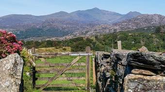 Dinas Cottage