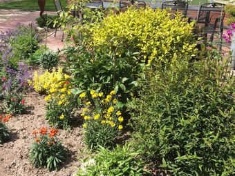 Hotel G�stehaus Muhl