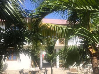 Bed & Breakfast Sunflower Bungalows Nungwi