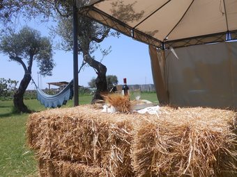 Residencia Domus Antiga