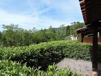 Cyclamen By Gites De France