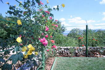 Apartamentos Villa Roze