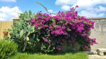 Bed & Breakfast Masseria Dei 12 Granai