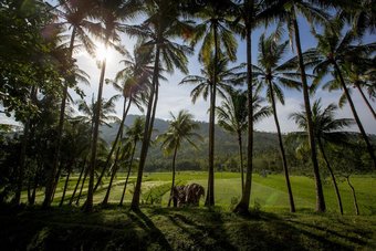 Hotel The Lombok Lodge