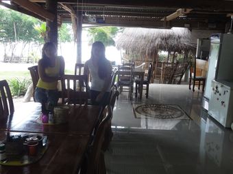 Hotel Sea Turtle House