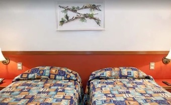 Ver fotos