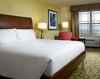 Hotel Hilton Garden Inn Roanoke