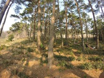 Hostal Korean Traditional House - Chungnokdang