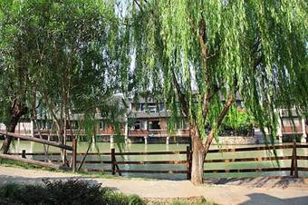 Posada Wuzhen Guest House