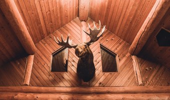 Posada Mount Logan Lodge