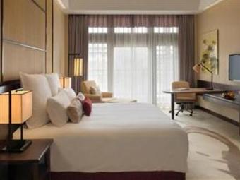 Hotel Radisson Blu Resort Wetland Park