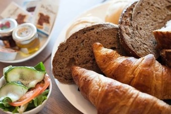 Mulberry Lavender Farm And B&B