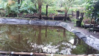 Hotel Tanna Eco Venture Bungalow