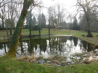 Bed & Breakfast La Grande Maison Du Morvan