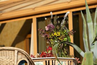 Bed & Breakfast Kashubian Lodge & Spa