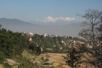 Apartamentos My Sweet Home