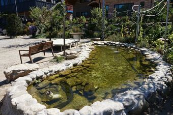 Mountain Water Smell Red Clay Pension