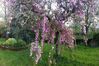 Hotel Chambres D'h�tes La Gautraie