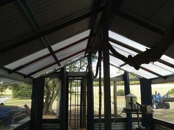 Cabana Redtail Ridge Cottages - Adults Only