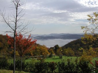 Agroturismo Agriturismo Podere Doglio