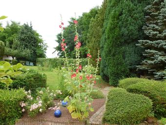 Bed & Breakfast La Rose Tremiere