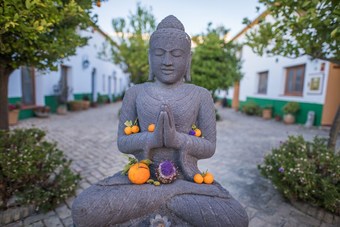 Hotel Suryalila Retreat Centre