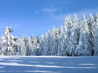 Posada Gasthaus Schweizerhof